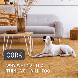 FEATURED PRODUCT 3: Why We Love Cork Flooring and Think You Will, Too