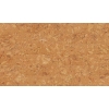 Cork WISE by Amorim - Waterproof Cork Flooring in Originals Shell