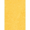 Marmoleum Click CinchLoc 12