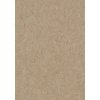 Marmoleum Click CinchLoc 12