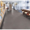 Marmoleum 'Concrete' Sheet -  Glue-Down Flooring at Greenhome Solutions