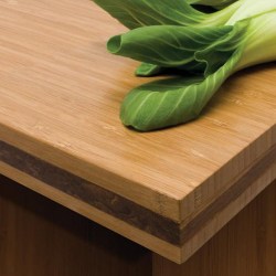 Teragren bamboo countertop